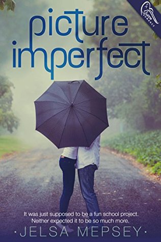 Picture Imperfect (Kindle Edition)