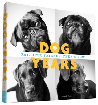Dog Years: Faithful Friends, Then & Now (Hardcover)