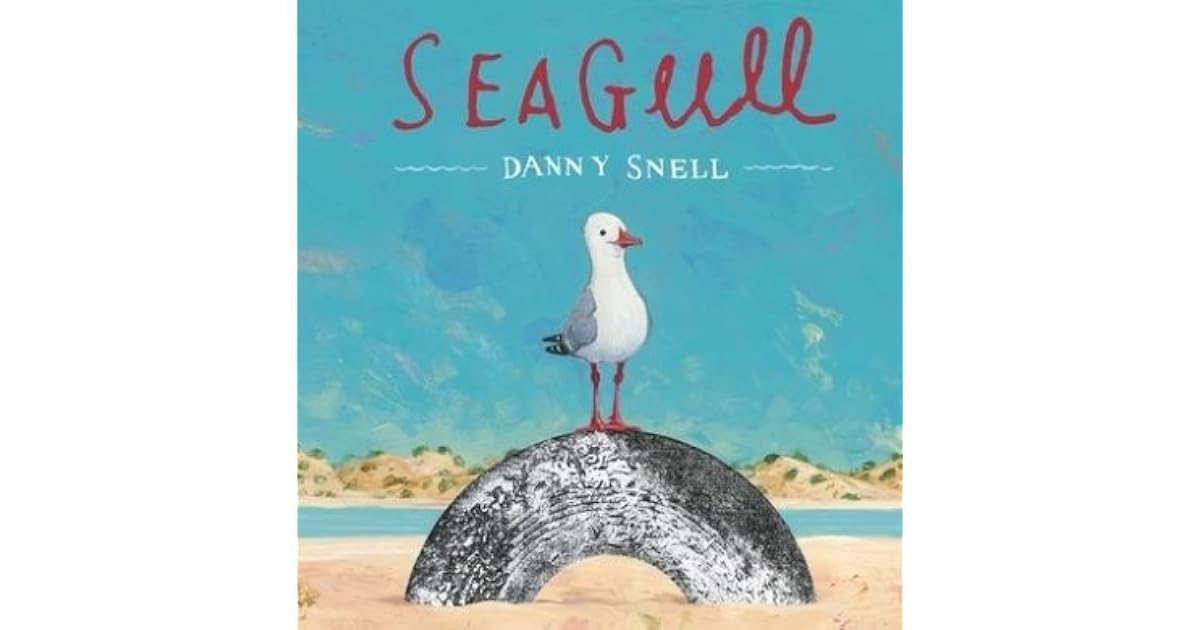 Seagull by Danny Snell