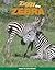 Ziggy the Zebra