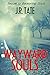 Wayward Souls (Beckoning So...