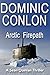 Arctic Firepath (Sean Quinlan Book 2)