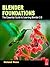 Blender Foundations: The Essential Guide to Learning Blender 2.6: The Essential Guide to Learning Blender 2.5