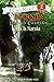 Prince Caspian: This is Narnia