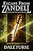 Escape from Zandell (GodSword Chronicles Book #0)