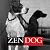 Zen Dog