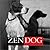 Zen Dog by Judith Adler