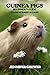 Guinea Pigs by Jennifer Grewer