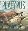 Platypus by Sue  Whiting