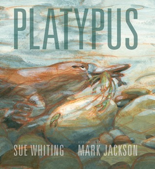 Platypus (Hardcover)