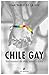 Chile gay: testimonios de v...