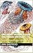 Ernst Haeckel Art Forms in Nature Adult Coloring Book (Plates 1-25): Original Art Masterpiece Coloring Books