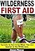 Wilderness First Aid by Jason Reese