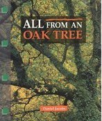 All From An Oak Tree