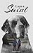 I am a Saint by Darpan Goyal