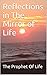 Reflections in The Mirror o...