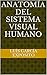 Anatomía del Sistema Visual Humano (Spanish Edition)
