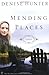 Mending Places by Denise Hunter