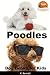 Poodles - Dog Books for Kids
