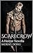 Scarecrow: A Horror Novella