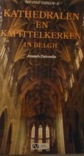 Kathedralen en kapittelkerken in België (Paperback)