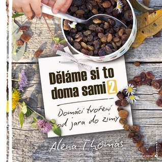 Děláme si to doma sami 2 (Paperback)