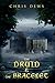 The Druid & the Bracelet (Druid Lailoken #1)