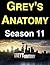 Grey's Anatomy: Season 11