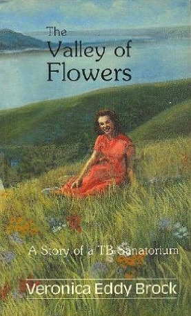 The Valley of Flowers: A Story of TB Sanatorium (Paperback)