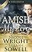 Amish Mystery (The Torn Series #4)