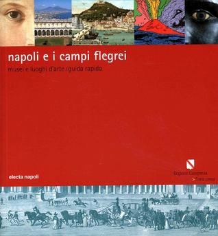 Napoli e i Campi Flegrei. Musei e luoghi d'arte (Paperback)
