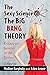 The Sexy Science of The Big Bang Theory: Essays on Gender in the Series