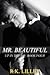 Mr. Beautiful (Up in the Air, #4)