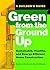 Green from the Ground Up: A...