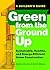 Green from the Ground Up: A Builder's Guide to Sustainable, Healthy, and Energy-Efficient Home Construction
