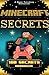 Minecraft: Minecraft Secret...