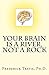 Your Brain is a River, Not a Rock