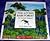 The Living Rain Forest: An Animal Alphabet