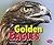 Golden Eagles (Birds of Prey)