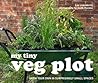 My Tiny Veg Plot by Lia Leendertz