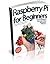Raspberry Pi For Beginners