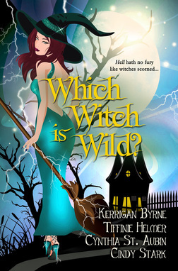 Which Witch is Wild? (The Witches of Port Townsend, #3)