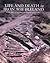 Life and death in Iron Age Ireland in the light of