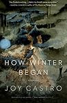 How Winter Began by Joy Castro