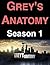 Grey's Anatomy: Season 1