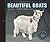 BEAUTIFUL GOATS /ANGLAIS