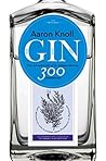 Gin: The Art and ...