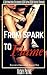 From Spark To Flame: A Supernatural Billionaire BBW Alpha BDSM Erotic Romance (Incubus Dreaming Book 1)