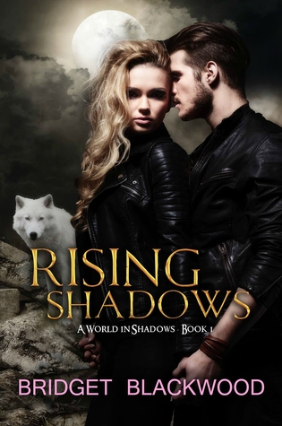 Rising Shadows (World in Shadows, #1)