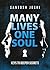 MANY LIVES ONE SOUL by Santosh Joshi
